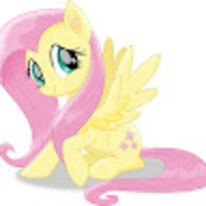 Meet your Posher, Davan